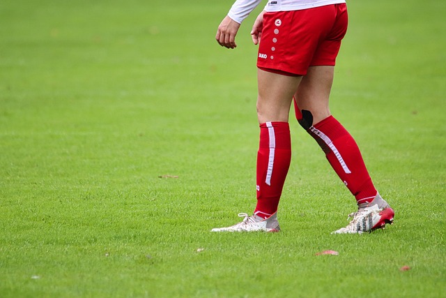 的观众更加 的观众更加