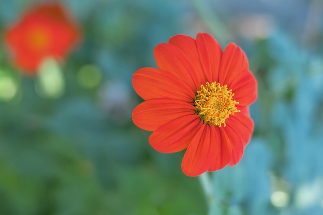 无疑是一次 无疑是一次