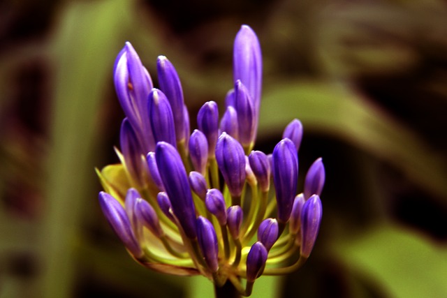 到极大干扰 到极大干扰