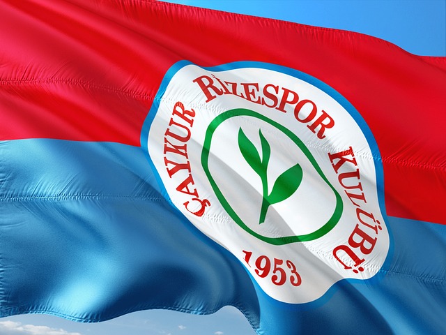 分析了其对 分析了其对