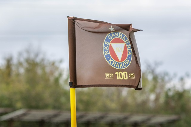 涯的重要一 涯的重要一