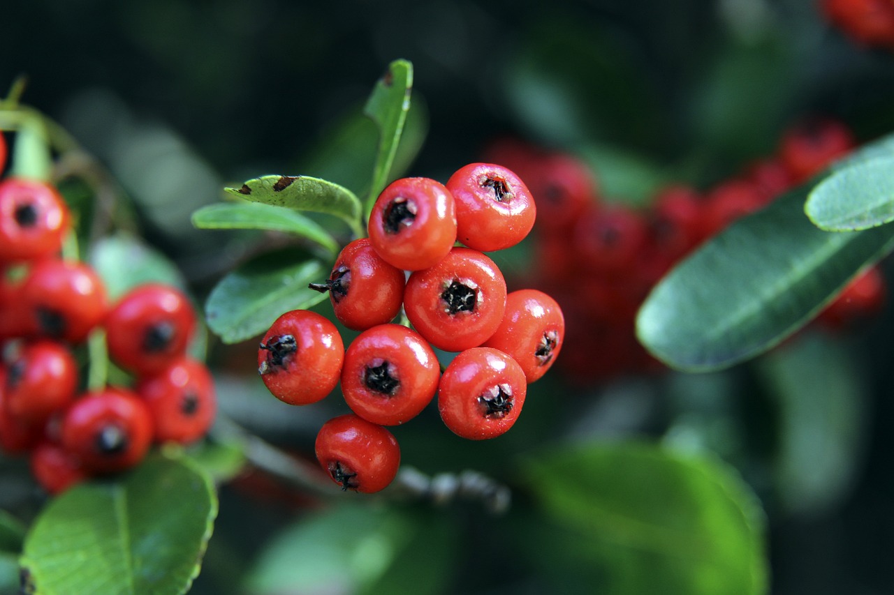 仅给国足注 仅给国足注