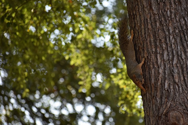 快船的顾虑 快船的顾虑