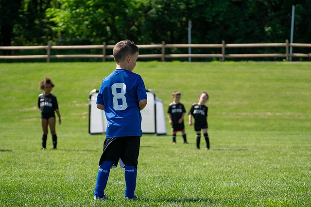 些无能为力 些无能为力