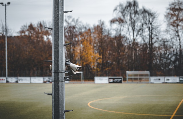 望的缺失 望的缺失