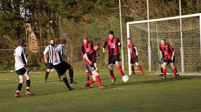 这不仅给予 这不仅给予