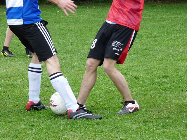 科学的兴趣 科学的兴趣