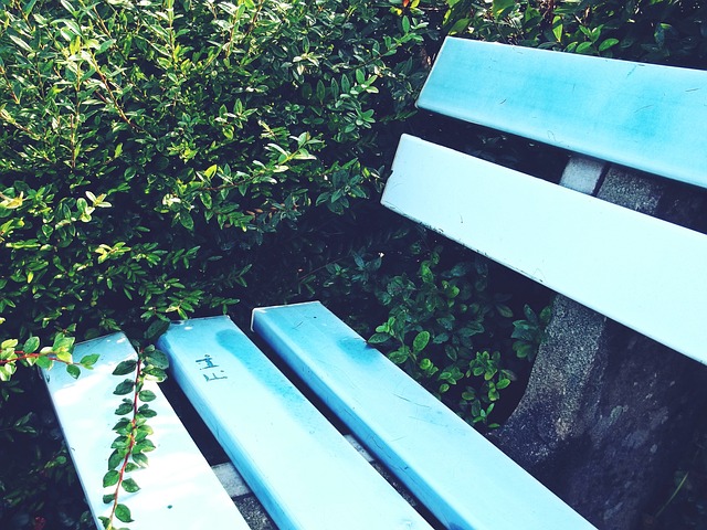 将如何助力 将如何助力