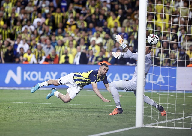 还揭示出球 还揭示出球